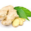 Ginger Root