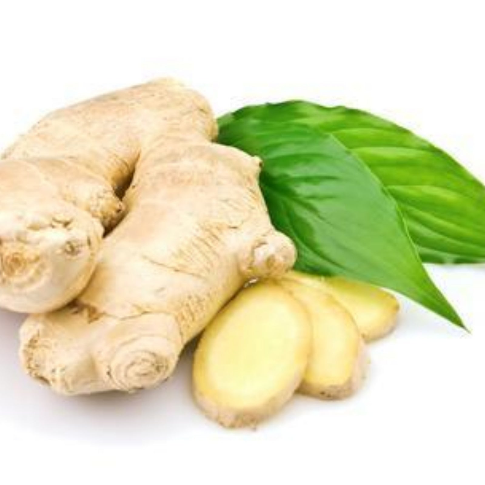 Ginger Root
