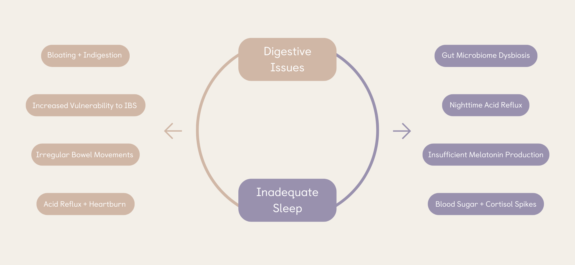 Digestion & Sleep connection diagram