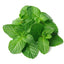Peppermint