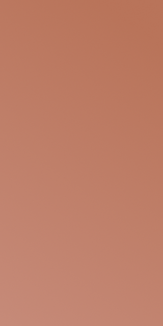 Alt text not provided for this image