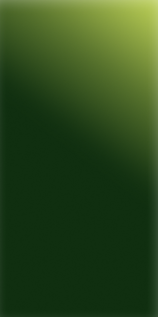 Alt text not provided for this image