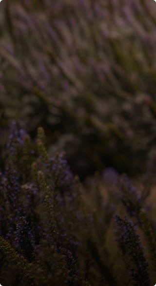 Alt text not provided for this image