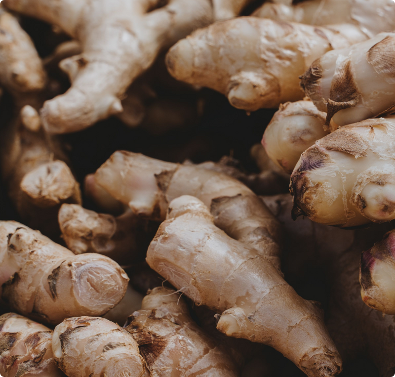 Ginger Root