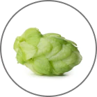 Hops