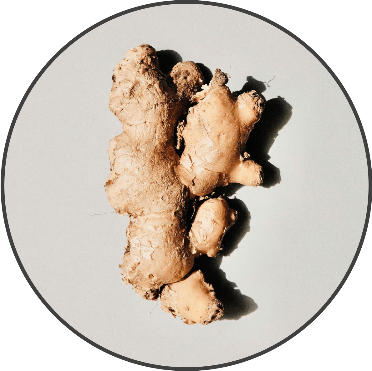 A piece of fresh ginger root on a light background.