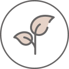 Leaf icon