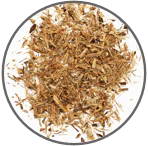 Slippery Elm