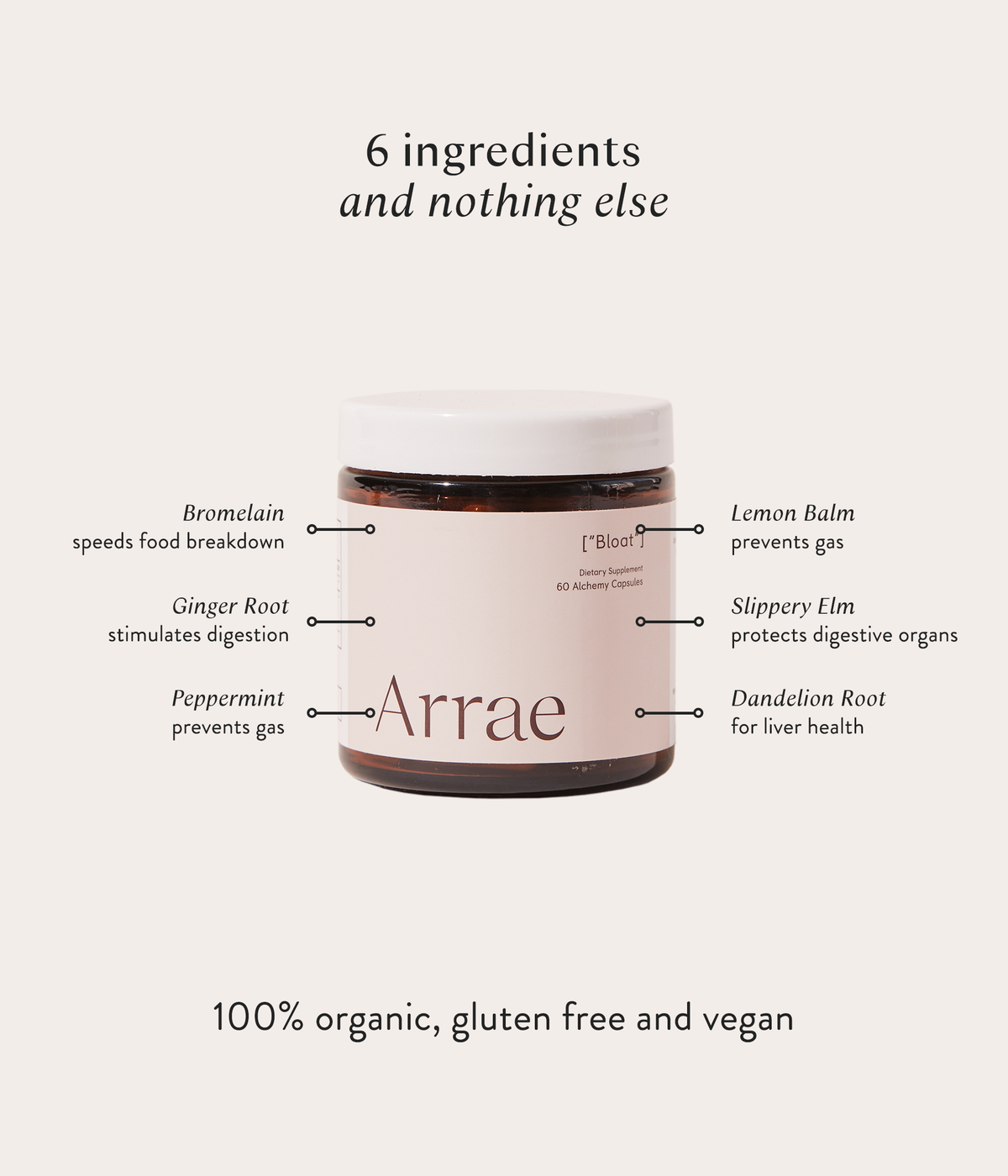 Arrae Bloat ingredients diagram